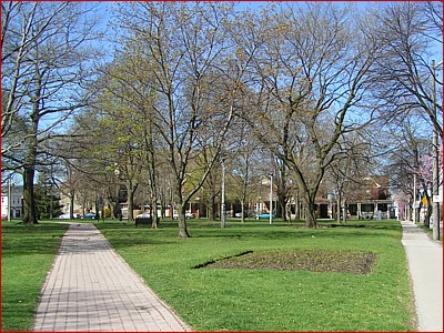 alexandra park icon